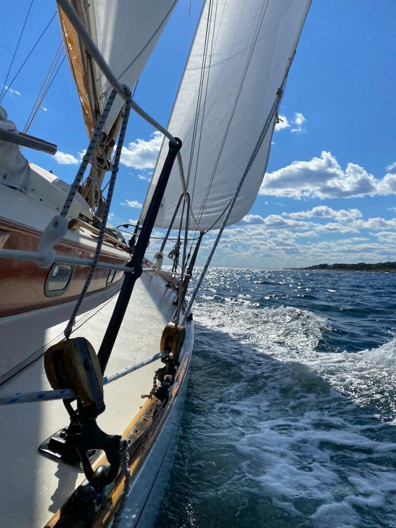 Slide: The Image of Concordia 39 1955 - 5190864