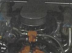 Slide: The Image of Conquest Top Cat 1 2007 - 8862397