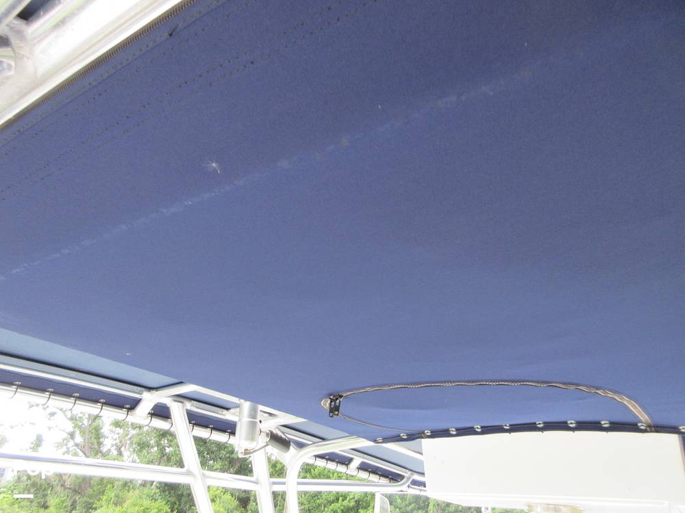 Slide: The Image of Contender 31 2008 - 15518888