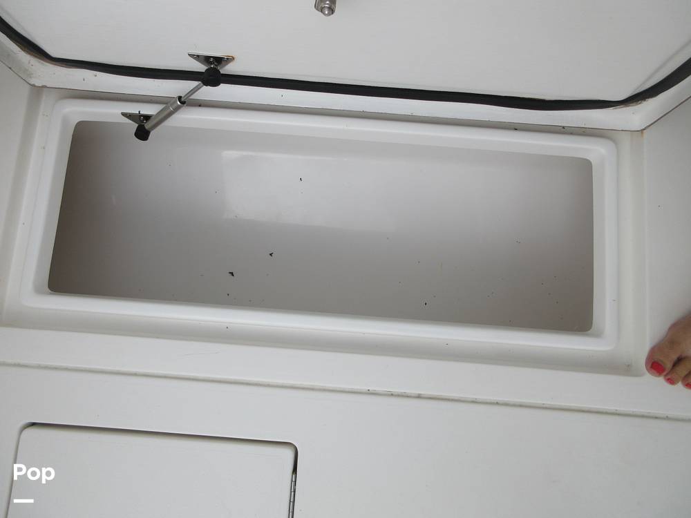 Slide: The Image of Contender 31 2008 - 15518889