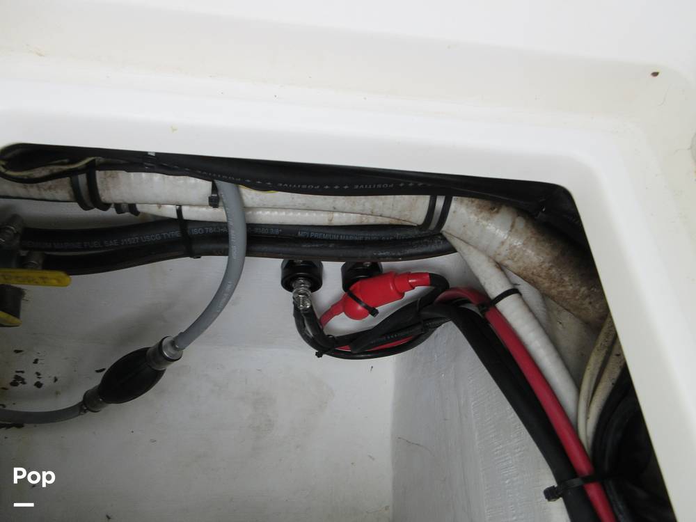 Slide: The Image of Contender 31 2008 - 15518891