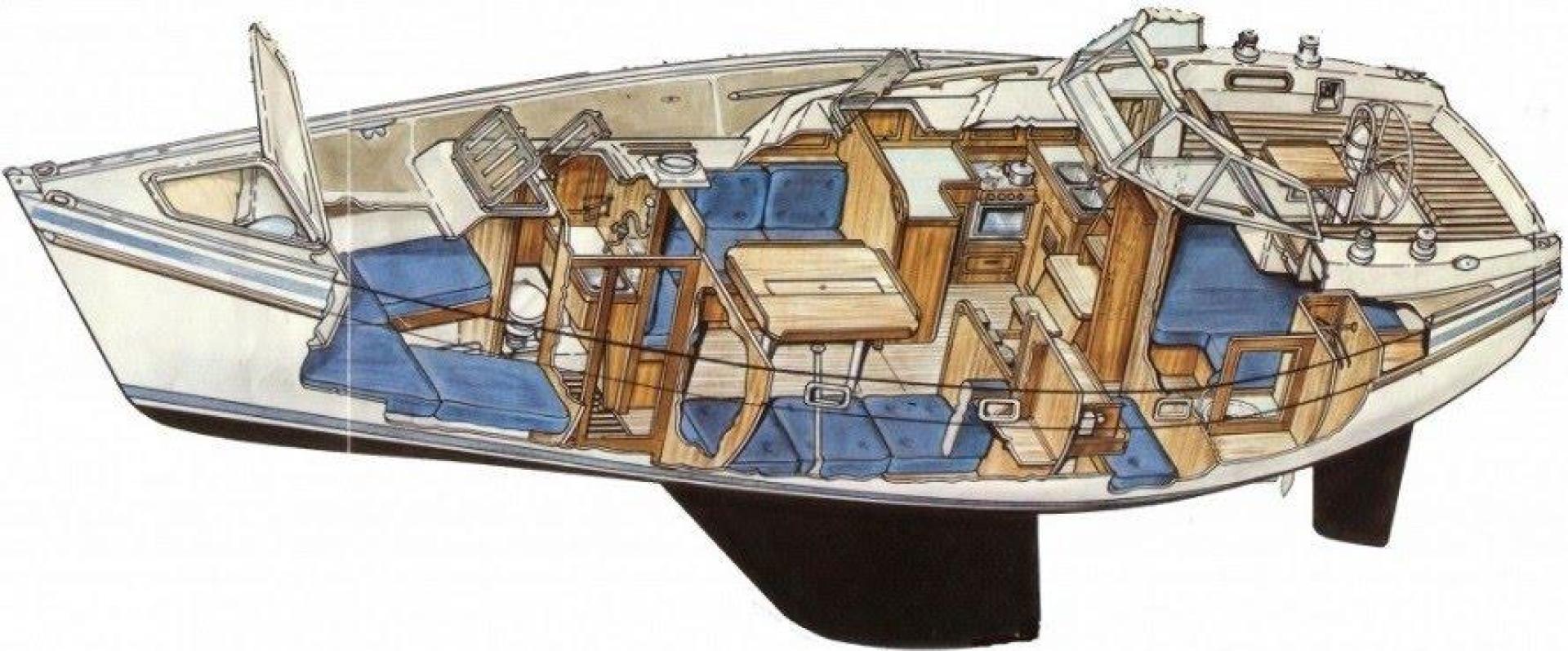 Slide: The Image of Contest 36s Interior Cutaway - 3513090