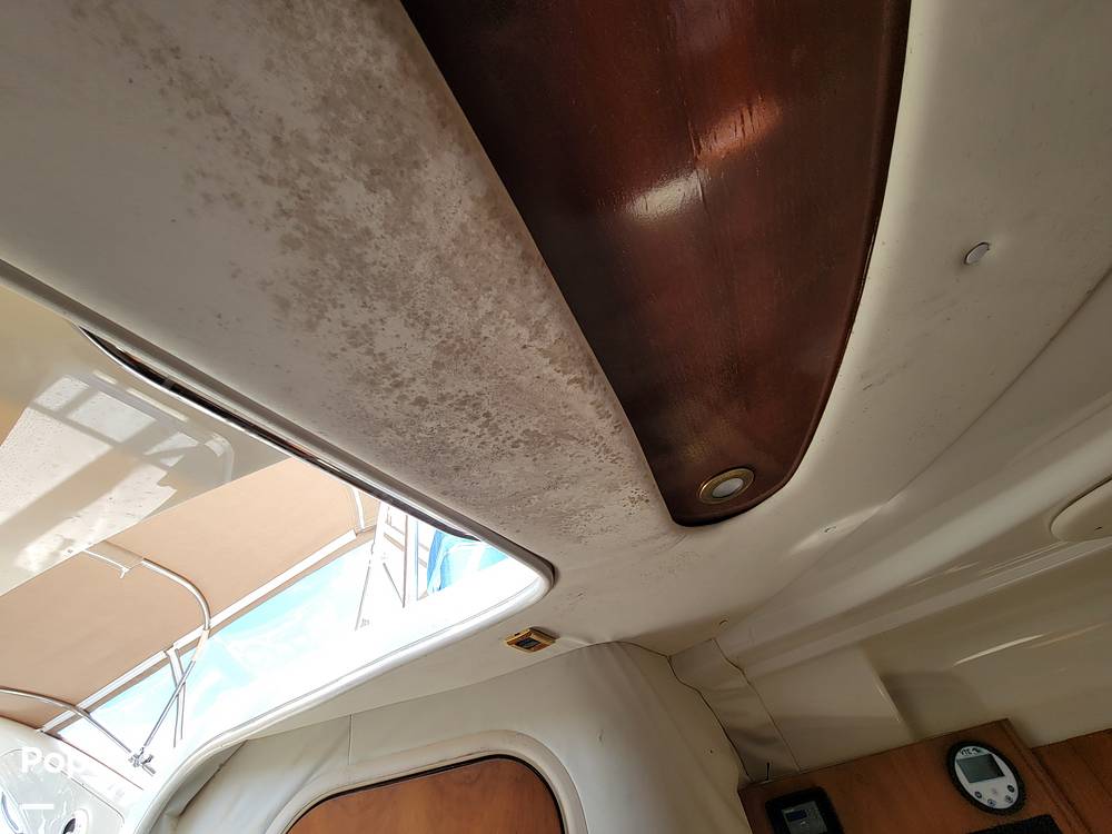 Slide: The Image of Cranchi Zaffiro 2004 - 14326054