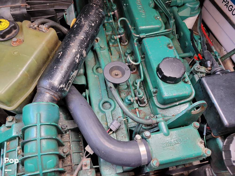 Slide: The Image of Cranchi Zaffiro 2004 - 14326074