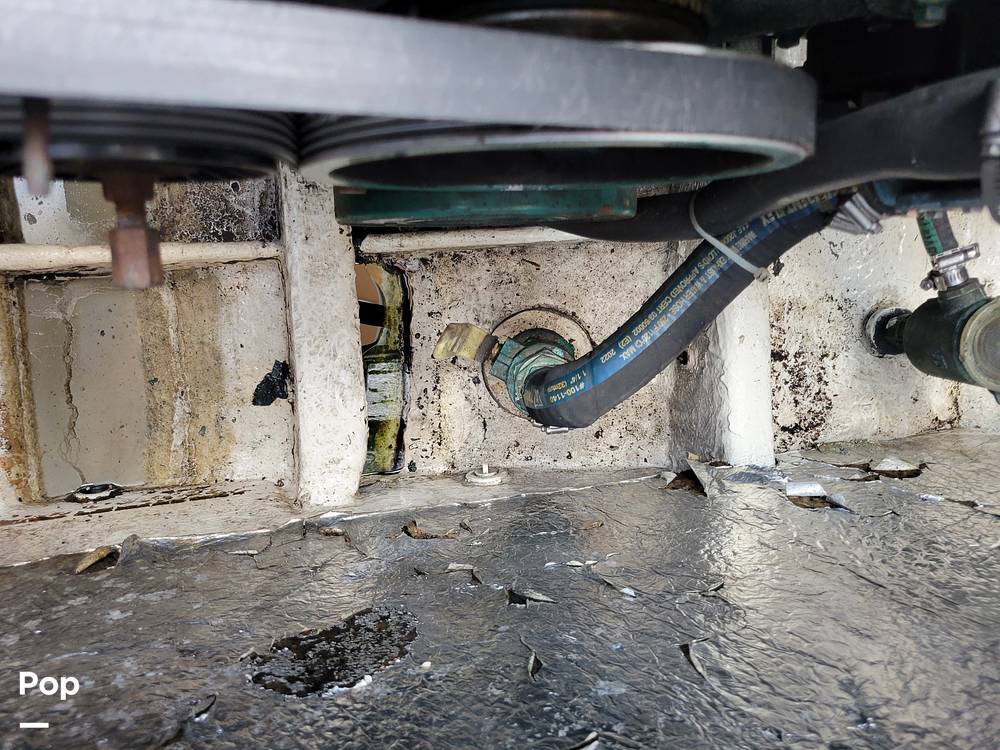 Slide: The Image of Cranchi Zaffiro 2004 - 14326075