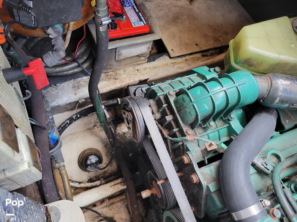 Slide: The Image of Cranchi Zaffiro 2004 - 14326082