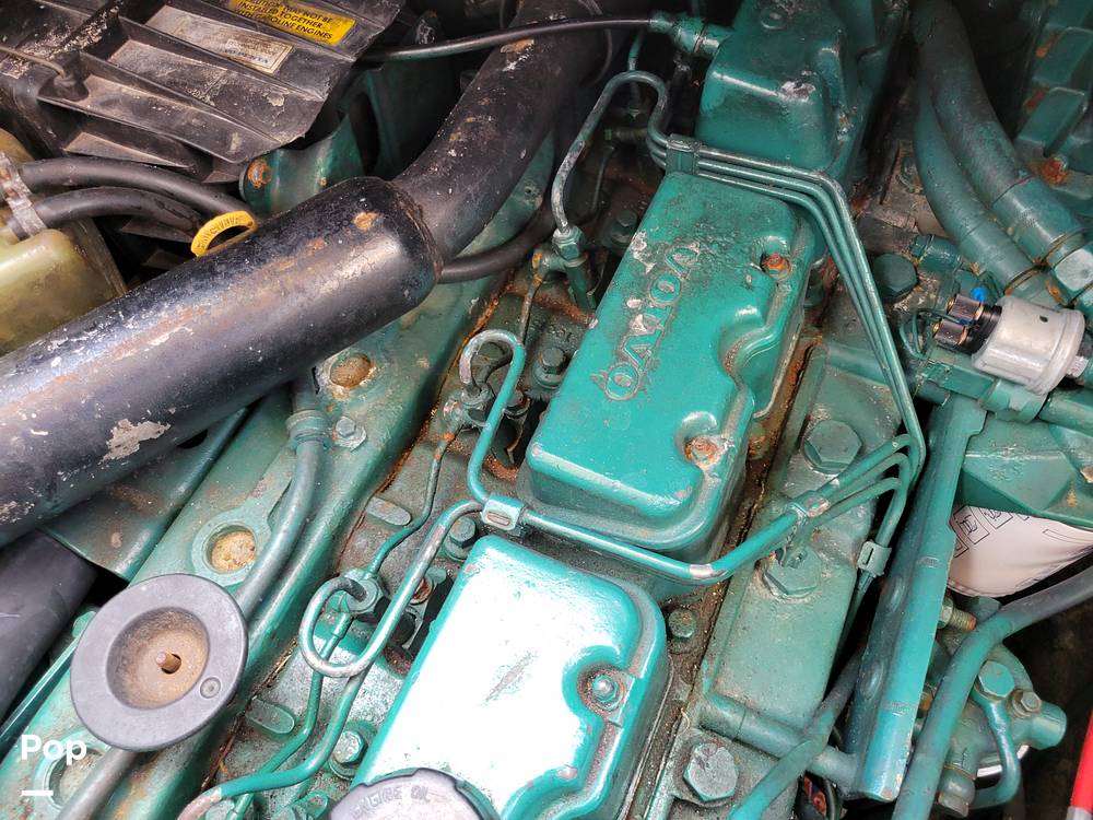 Slide: The Image of Cranchi Zaffiro 2004 - 14326087