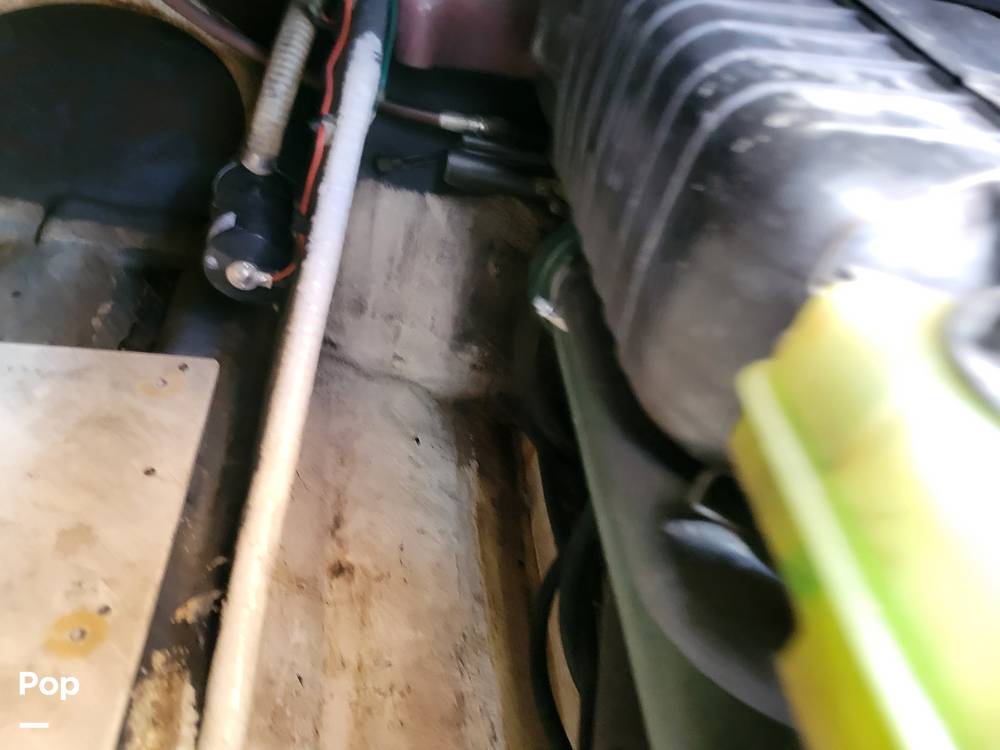 Slide: The Image of Cranchi Zaffiro 2004 - 14326089