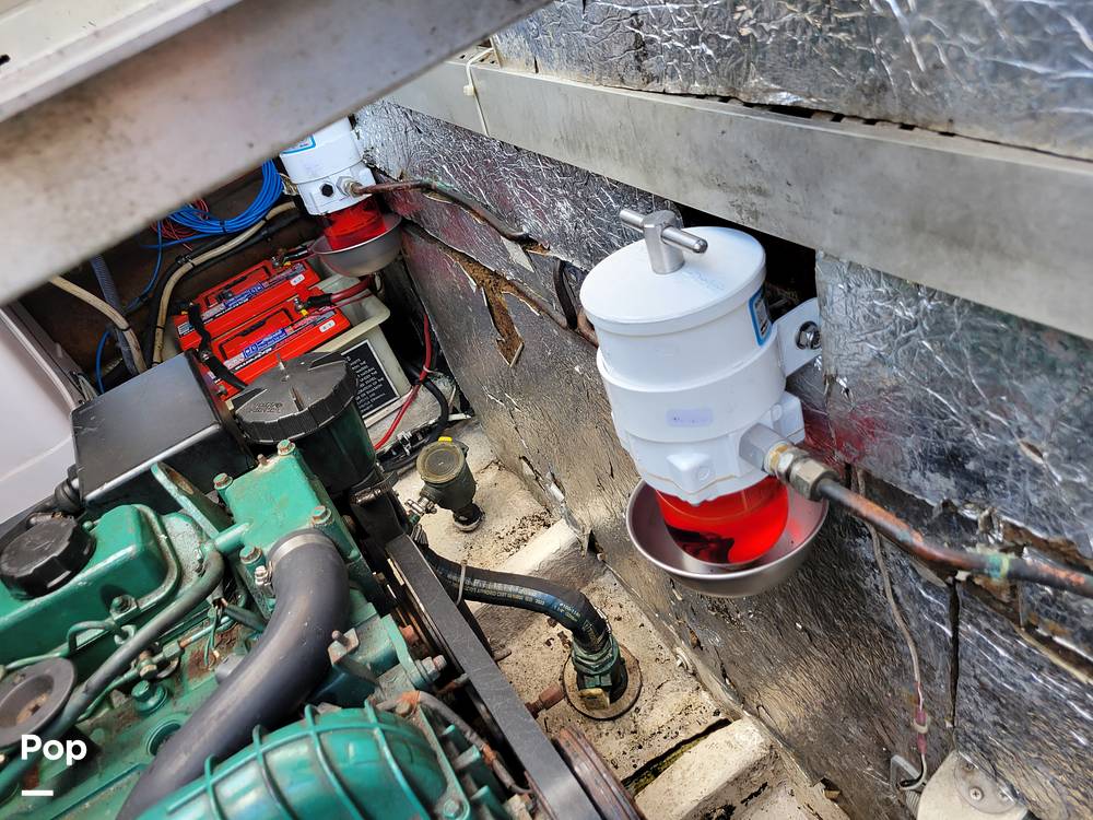 Slide: The Image of Cranchi Zaffiro 2004 - 14326090