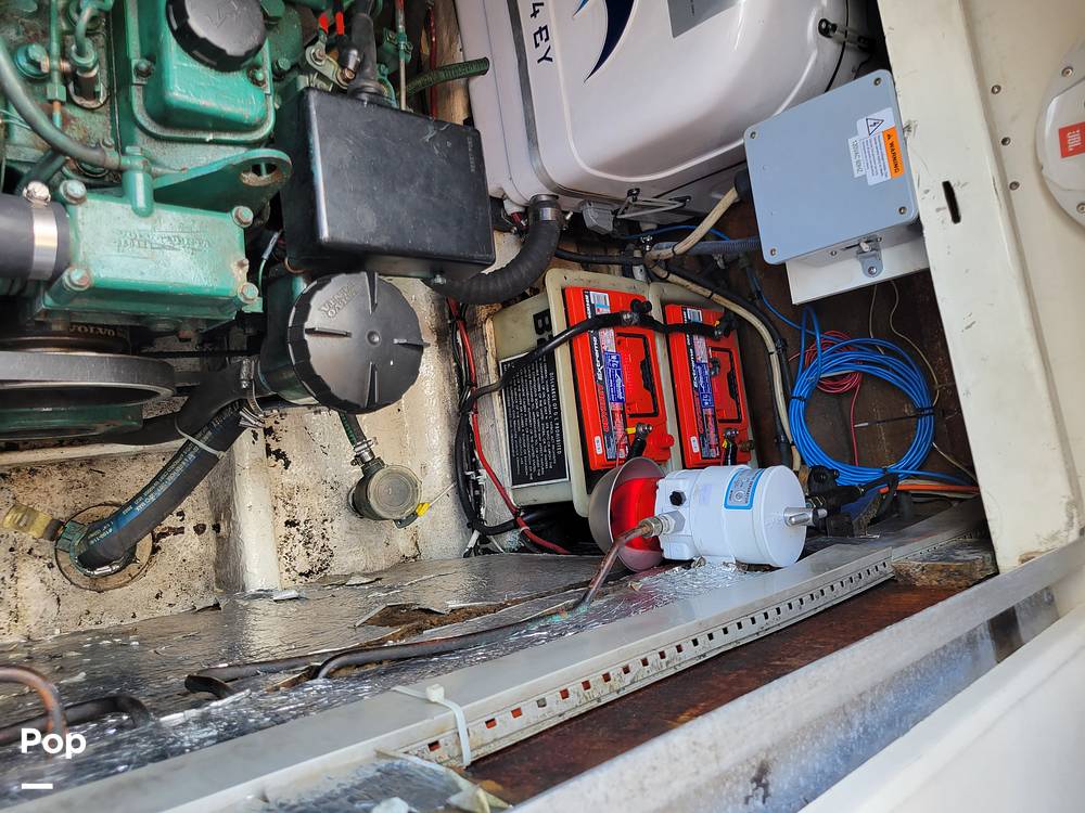 Slide: The Image of Cranchi Zaffiro 2004 - 14326091