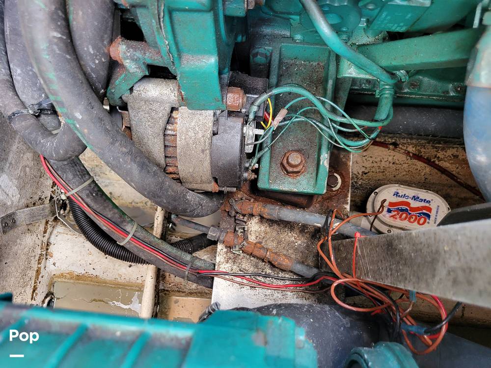 Slide: The Image of Cranchi Zaffiro 2004 - 14326092