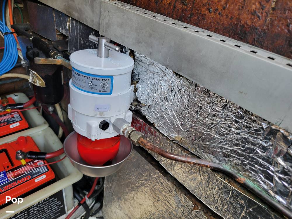 Slide: The Image of Cranchi Zaffiro 2004 - 14326094