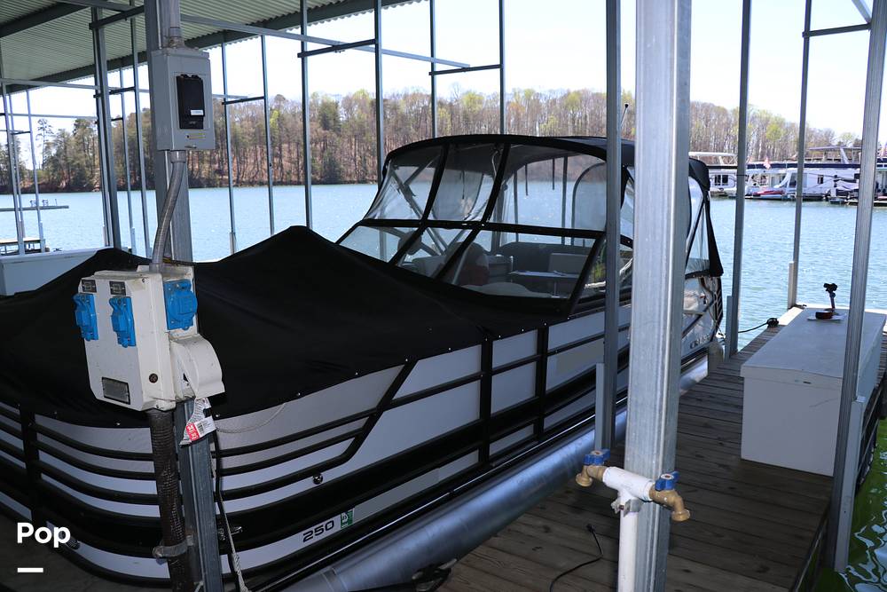 Slide: The Image of Crest 250 Continental 2020 - 13991041
