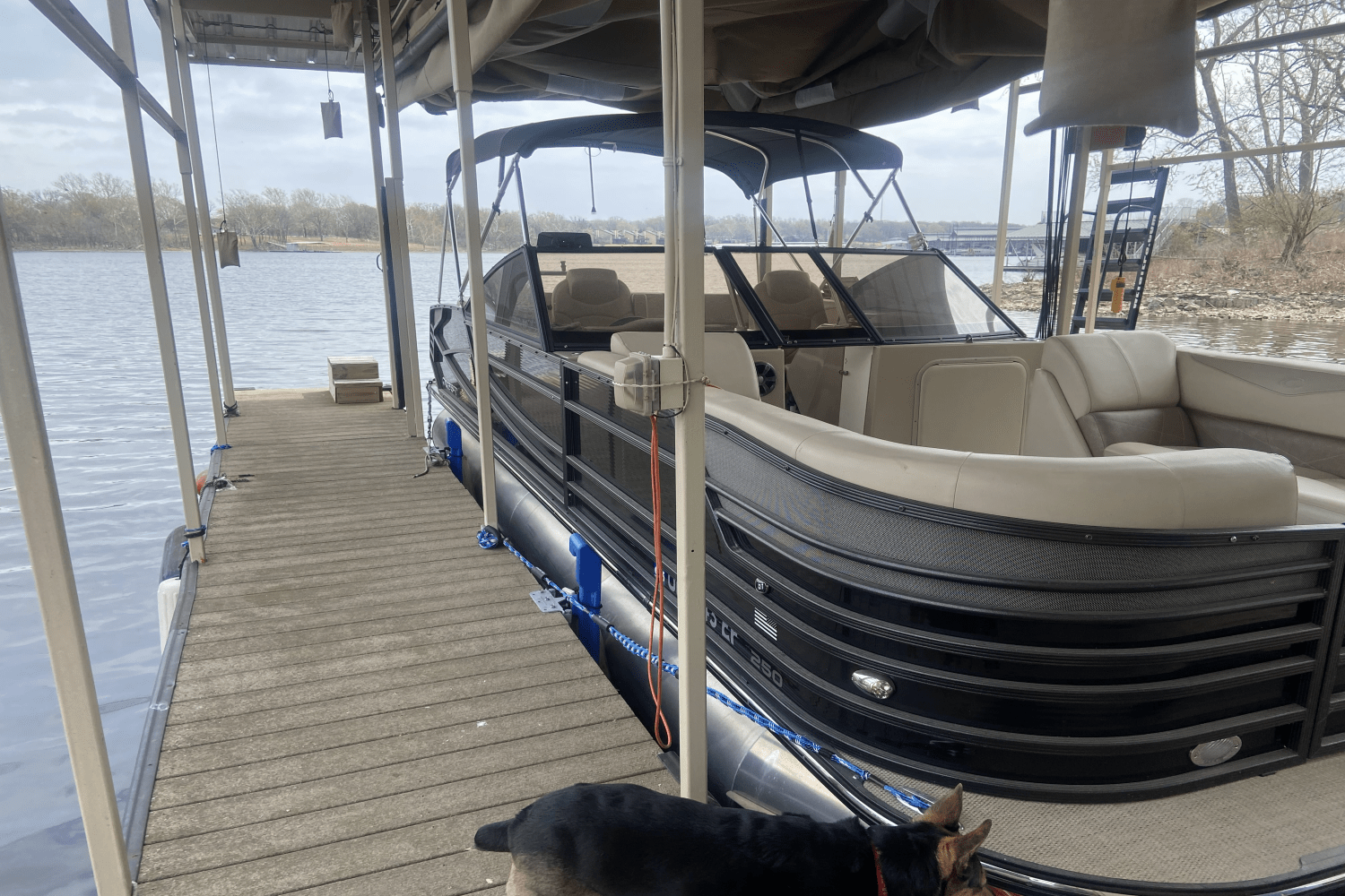 Slide: The Image of Crest CONTINENTAL 250 L 2017 - 2