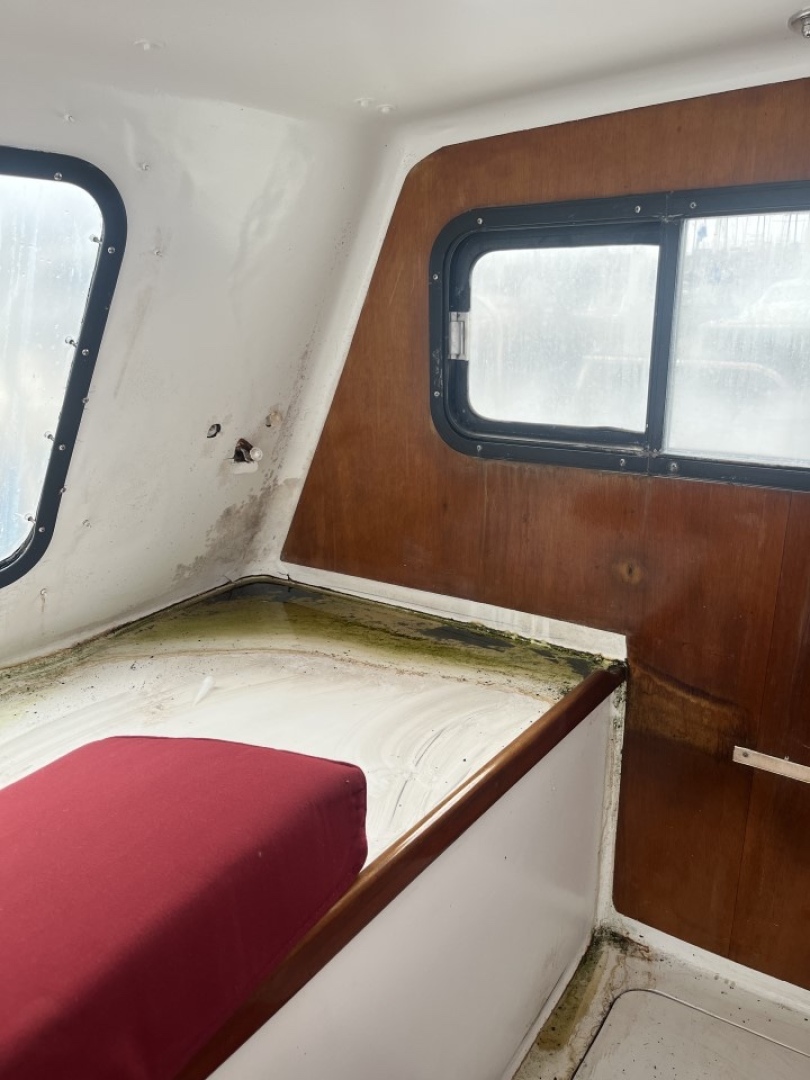 Slide: The Image of Used Sail Catamaran for sale 1995 CUSTOM CATAMARAN Custom - HERE KITTY KITTY - 4968332