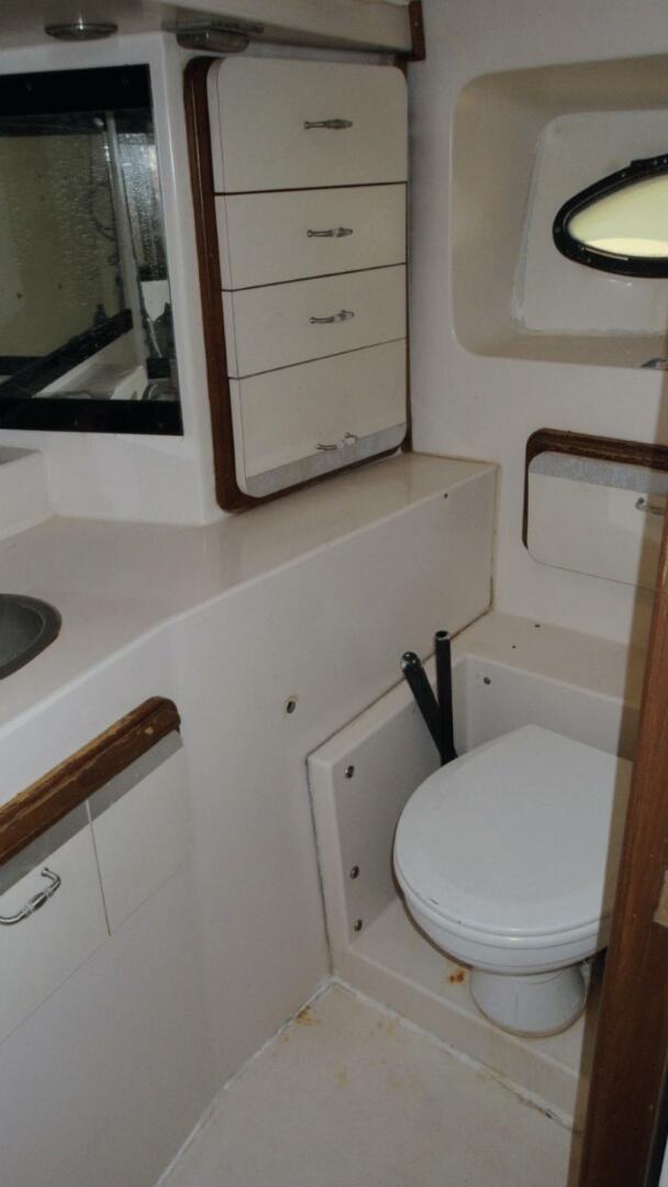 Slide: The Image of Head - 4933595