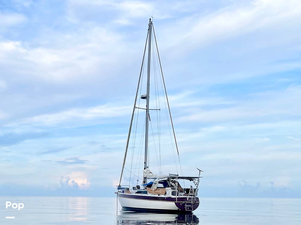 Slide: The Image of Bluewater Cruiser - 14323849