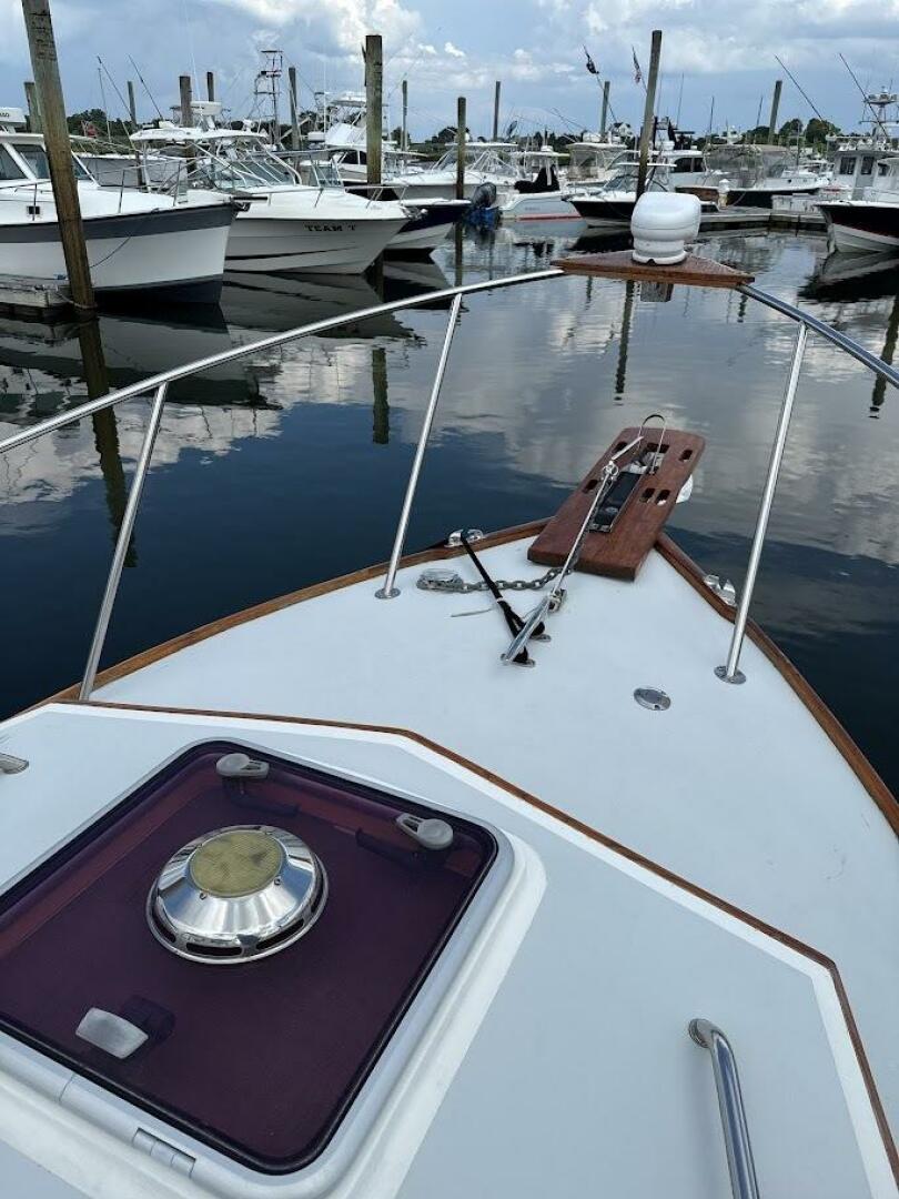 Slide: The Image of Dyer 29 2008 - 5554400