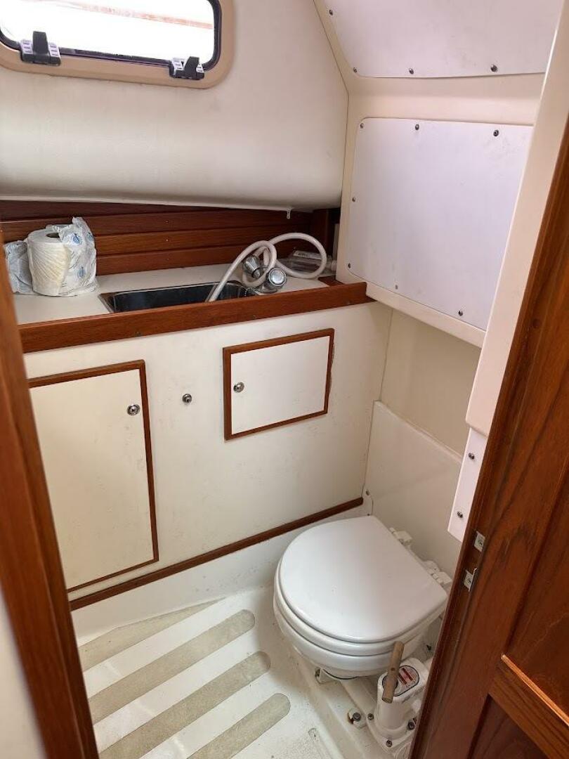 Slide: The Image of Dyer 29 2008 - 5554402