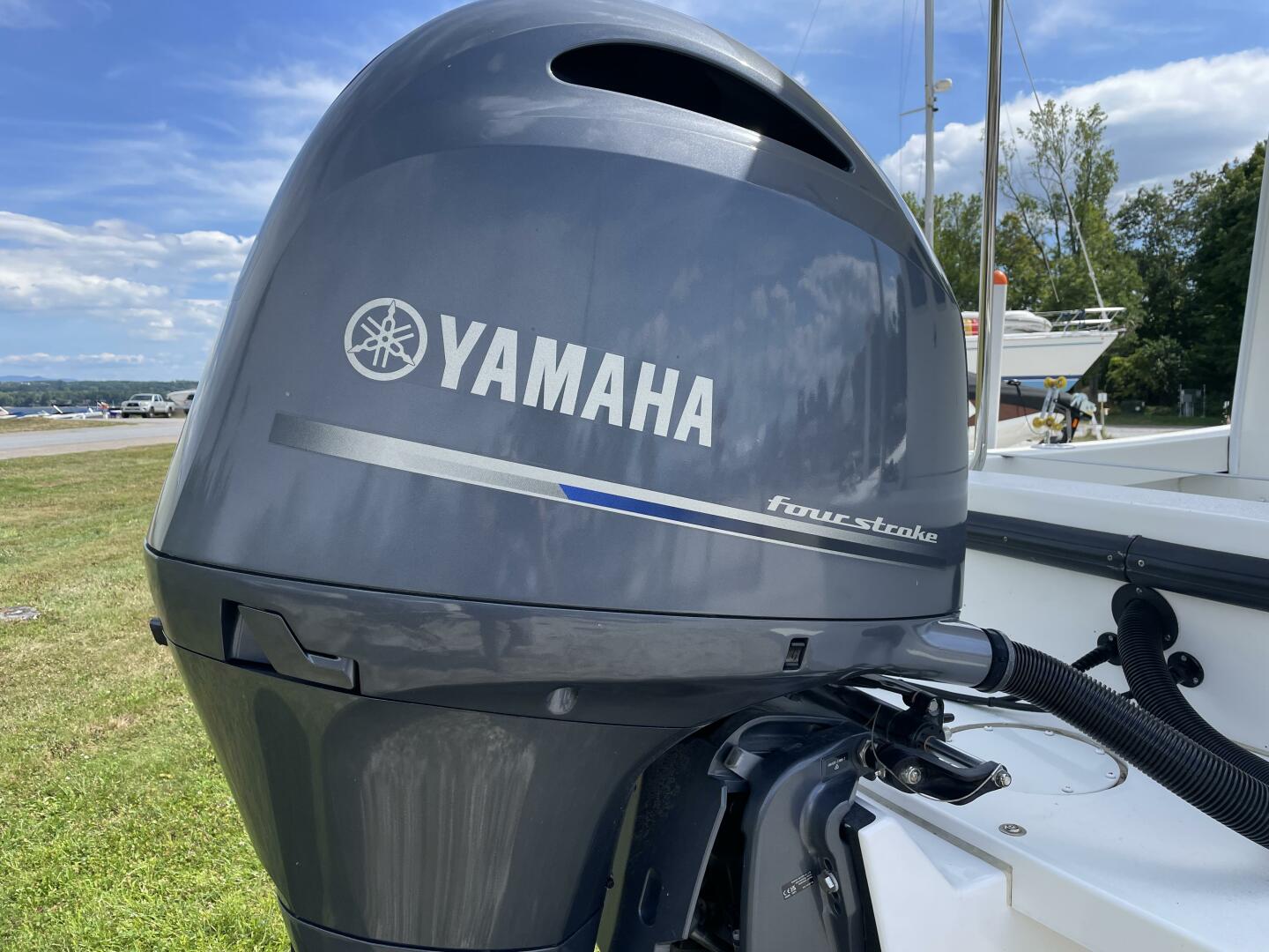 Slide: The Image of Eastern 22 2024 - 5601064