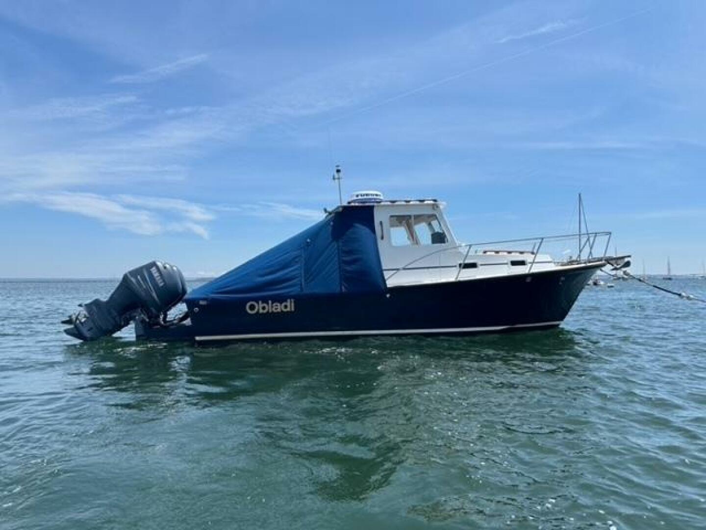 Slide: The Image of Eastern Islander 2007 - 5293701