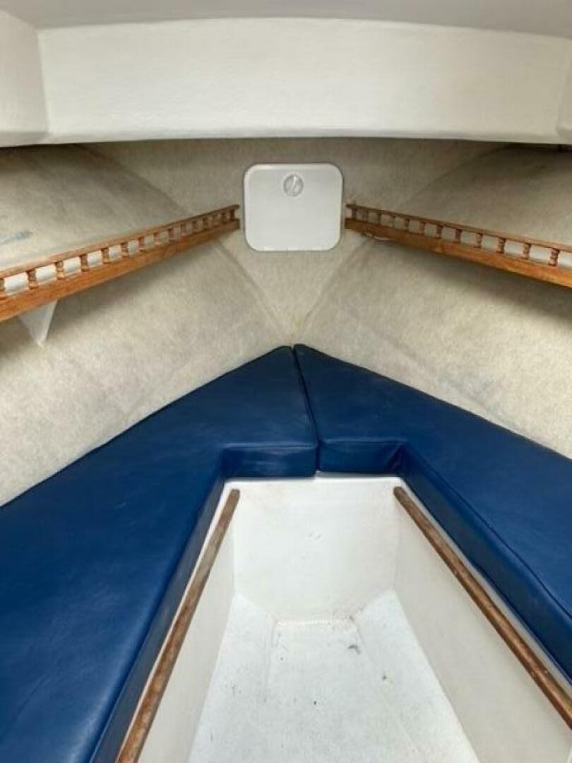 Slide: The Image of Eastern Islander 2007 - 5293712