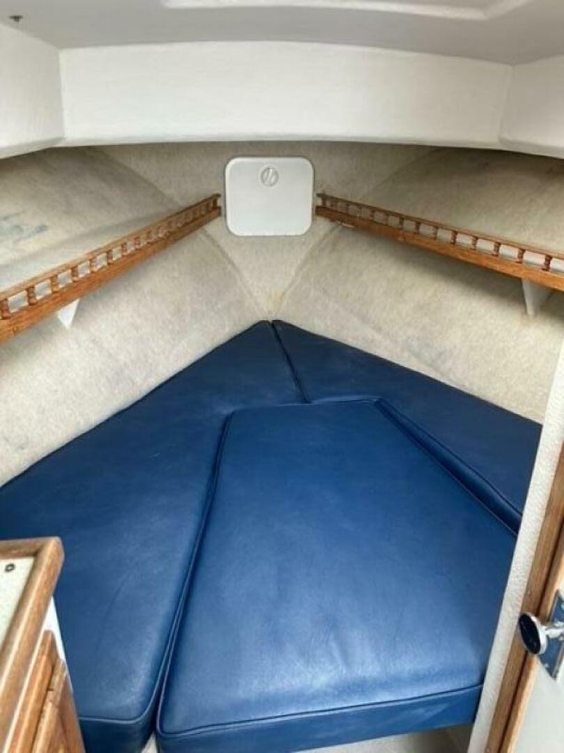 Slide: The Image of Eastern Islander 2007 - 5293713