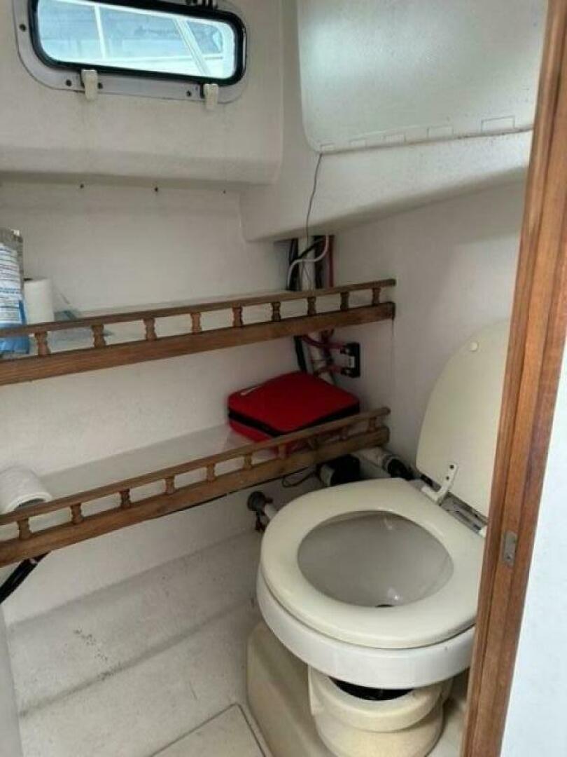 Slide: The Image of Eastern Islander 2007 - 5293721