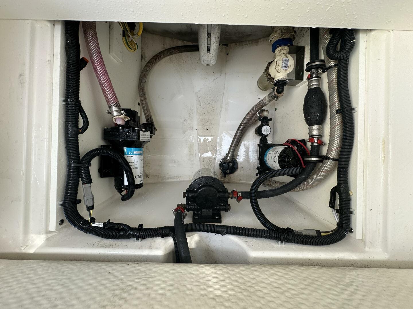 Slide: The Image of Edgewater 230CC 2019 - 5435823