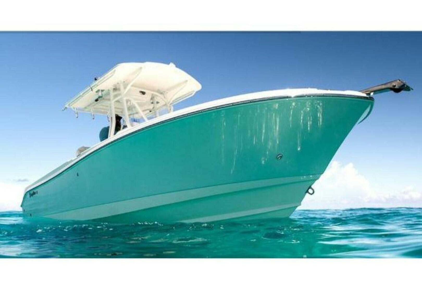 Slide: The Image of Edgewater 245CC 2025 - 4655074