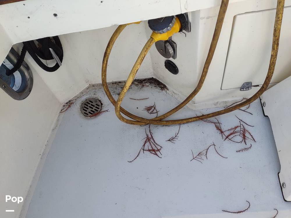 Slide: The Image of Egg Harbor 41 Sportfish 1988 - 13596964