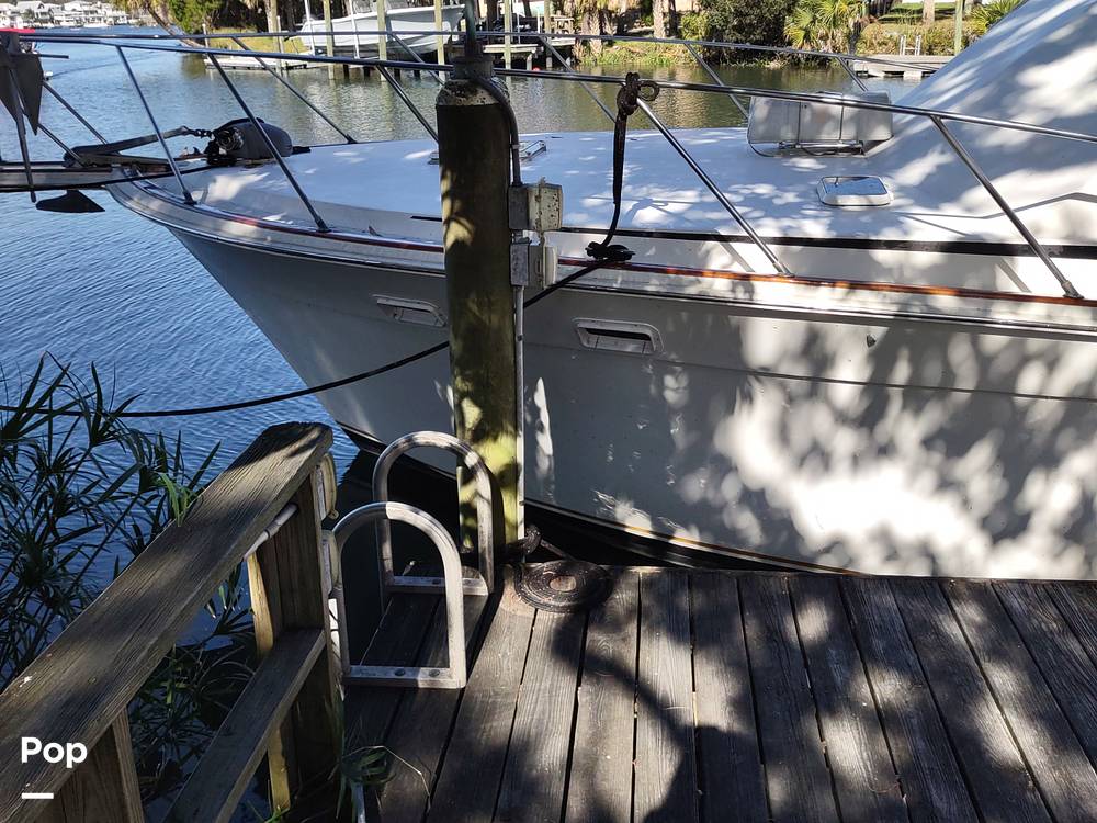Slide: The Image of Egg Harbor 41 Sportfish 1988 - 13596951