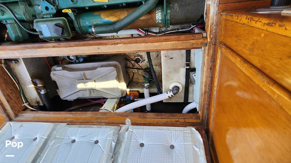 Slide: The Image of Ellis 28 1983 - 14458954