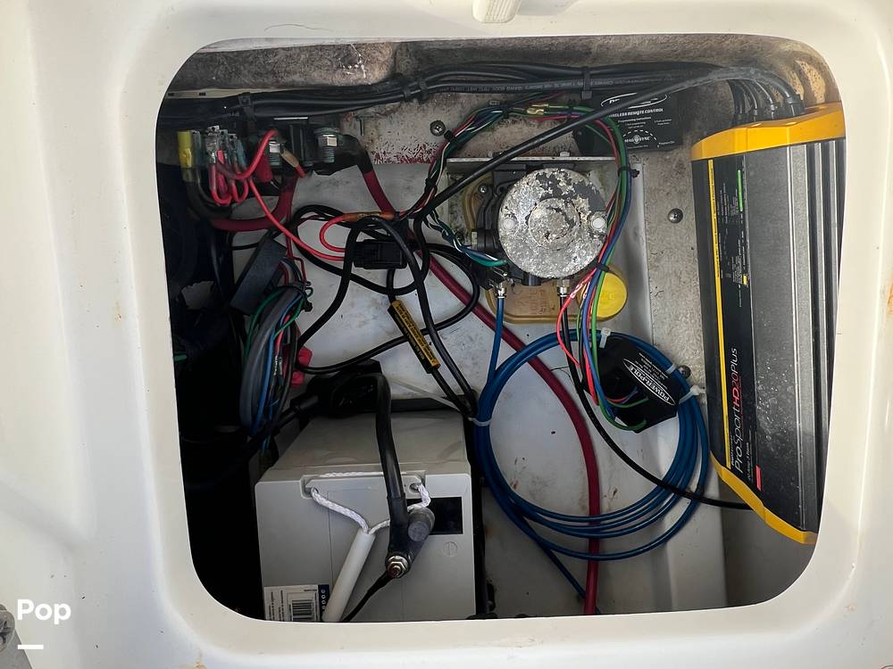 Slide: The Image of Everglades 243 cc 2009 - 15891504