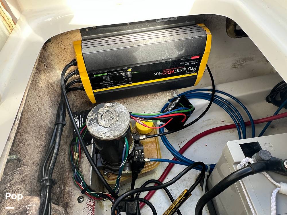 Slide: The Image of Everglades 243 cc 2009 - 15891505