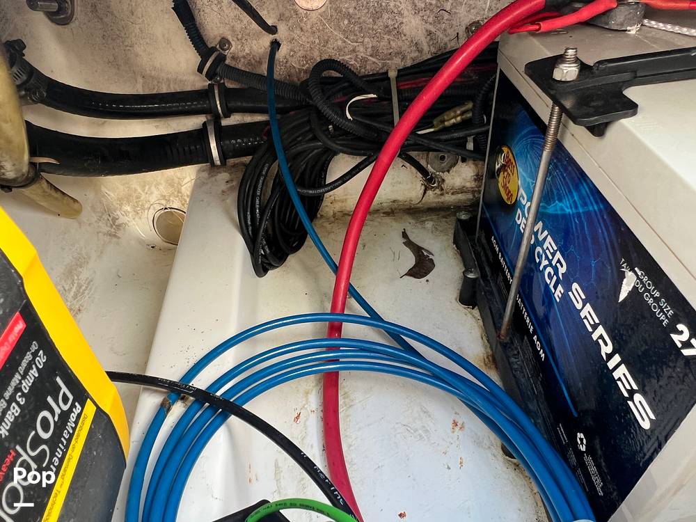 Slide: The Image of Everglades 243 cc 2009 - 15891506