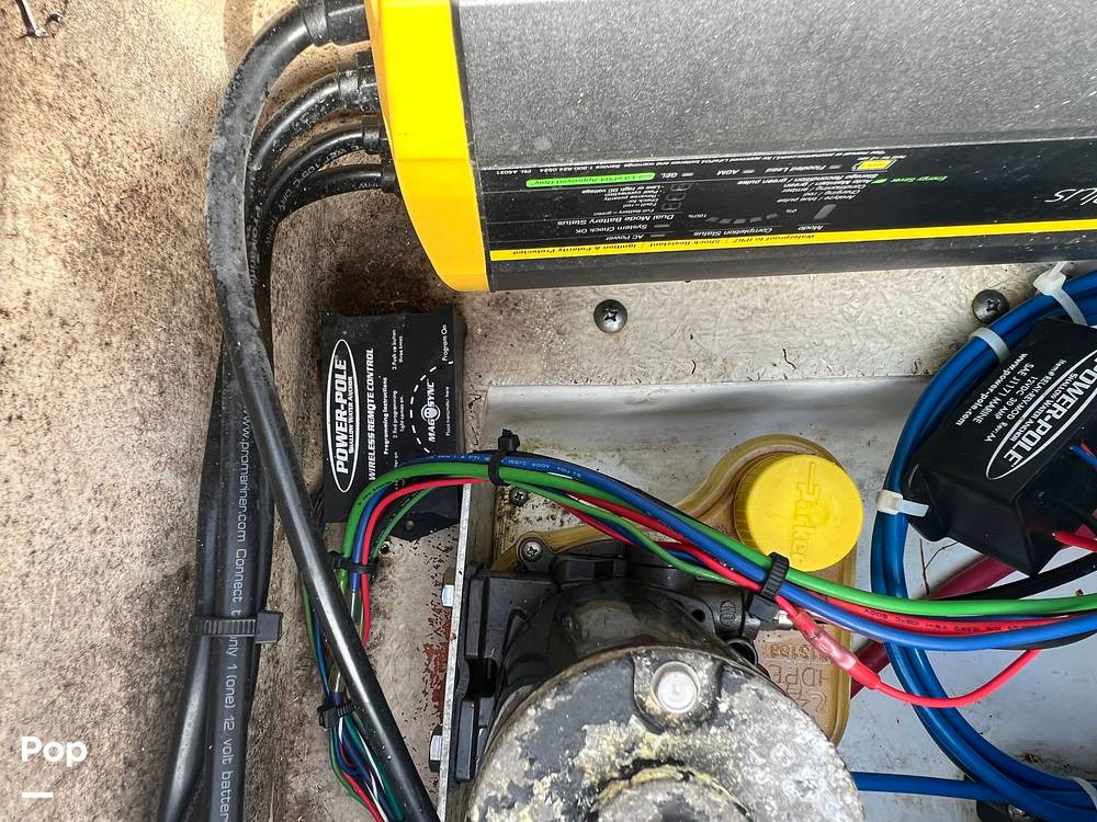 Slide: The Image of Everglades 243 cc 2009 - 15891507