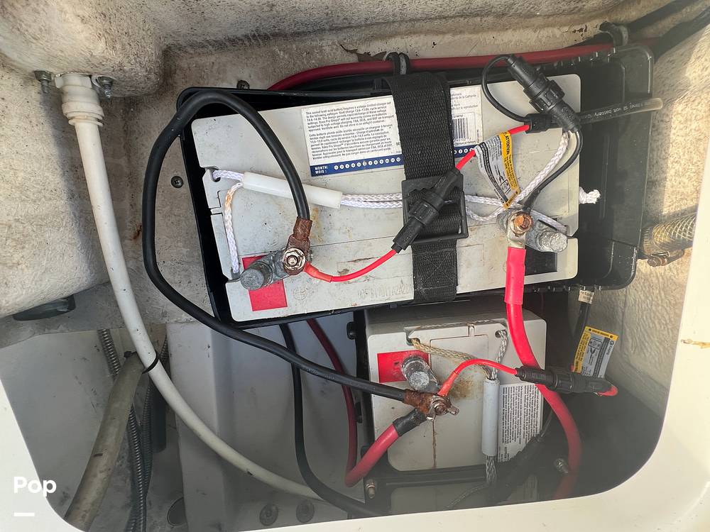 Slide: The Image of Everglades 243 cc 2009 - 15891508