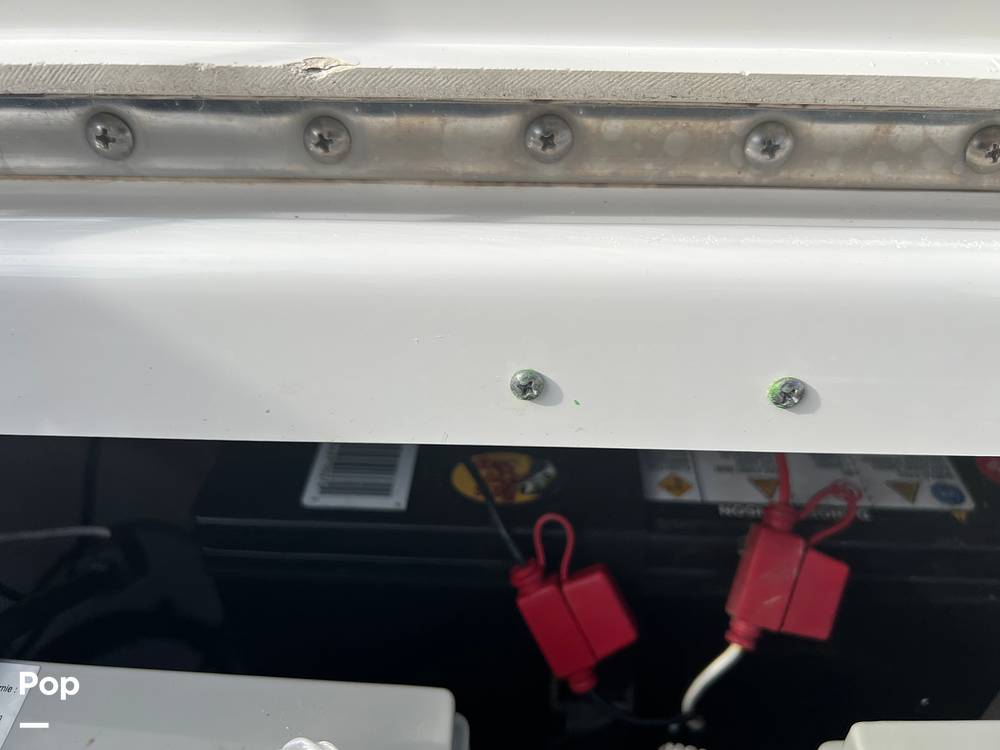 Slide: The Image of Everglades 243 cc 2009 - 15891526