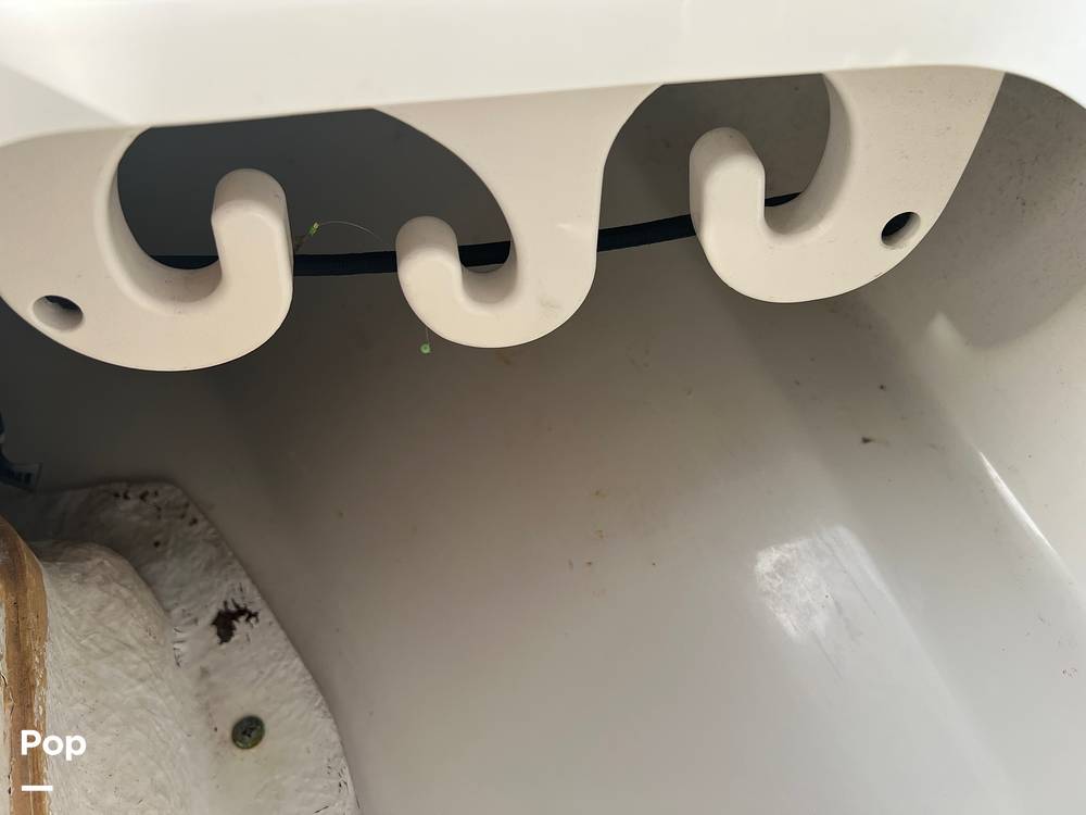 Slide: The Image of Everglades 243 cc 2009 - 15891529