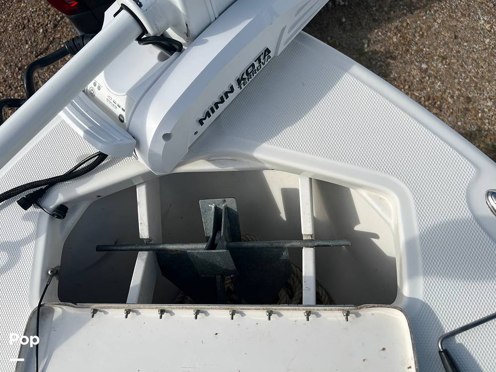 Slide: The Image of Everglades 243 cc 2009 - 15891530