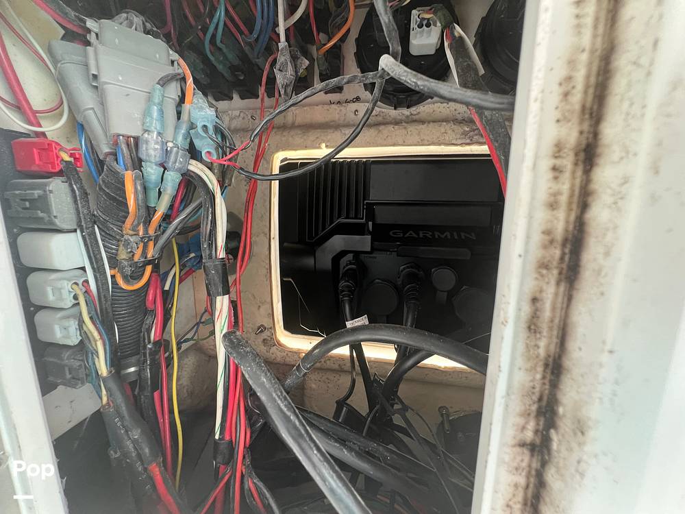 Slide: The Image of Everglades 243 cc 2009 - 15891537