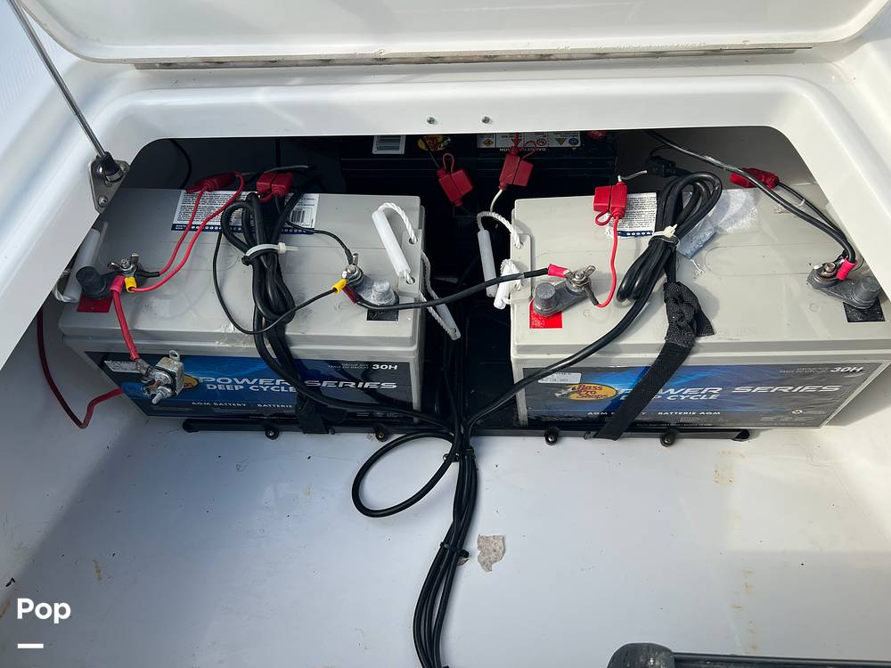 Slide: The Image of Everglades 243 cc 2009 - 15893457