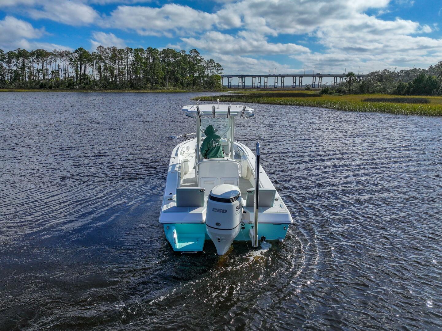 Slide: The Image of Everglades 243CC 2024 - 4873601