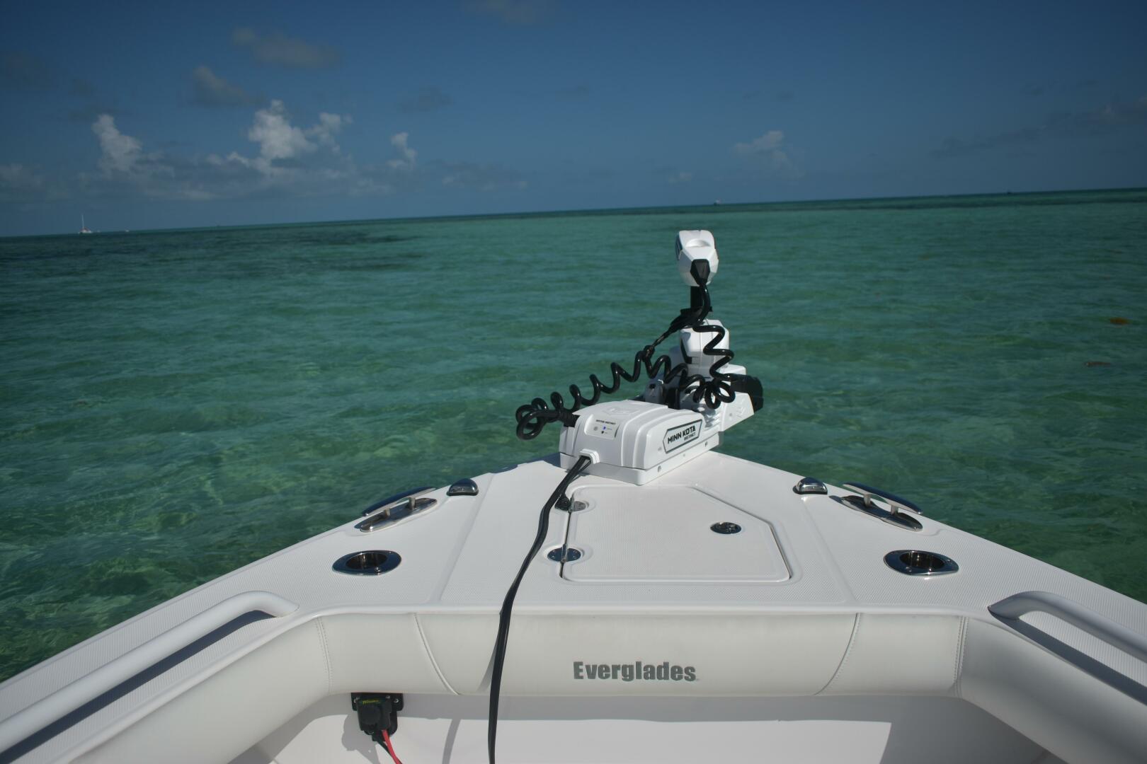 Slide: The Image of Everglades 273 cc 2025 - 5382806