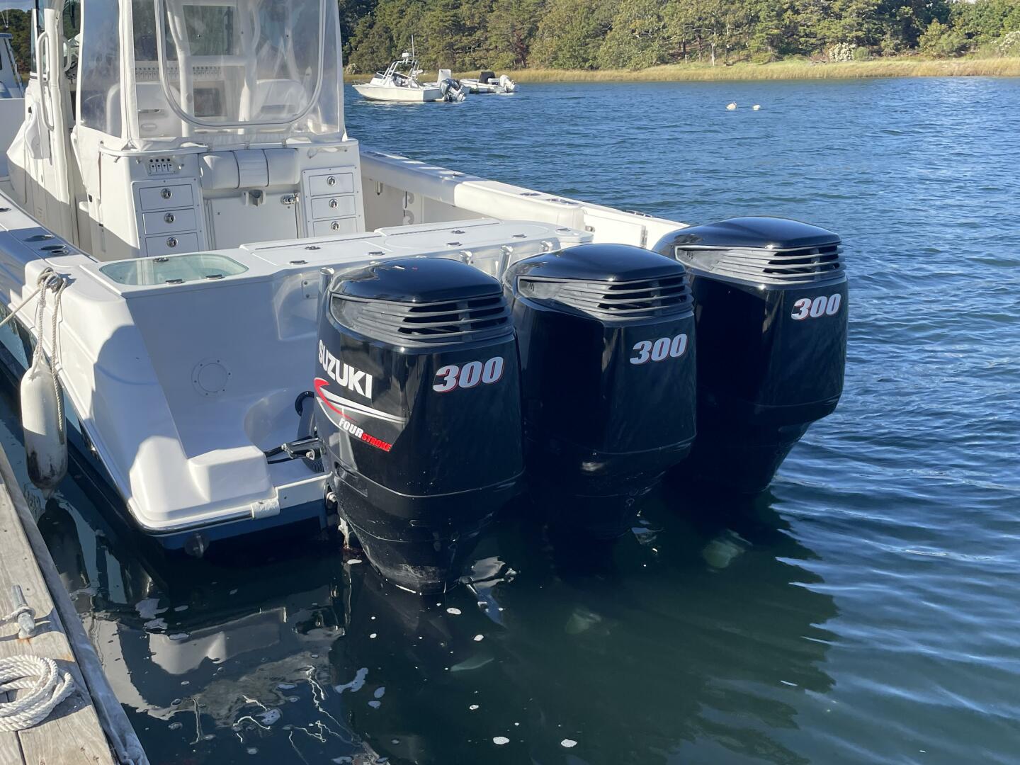 Slide: The Image of Everglades 350CC 2008 - 5081937