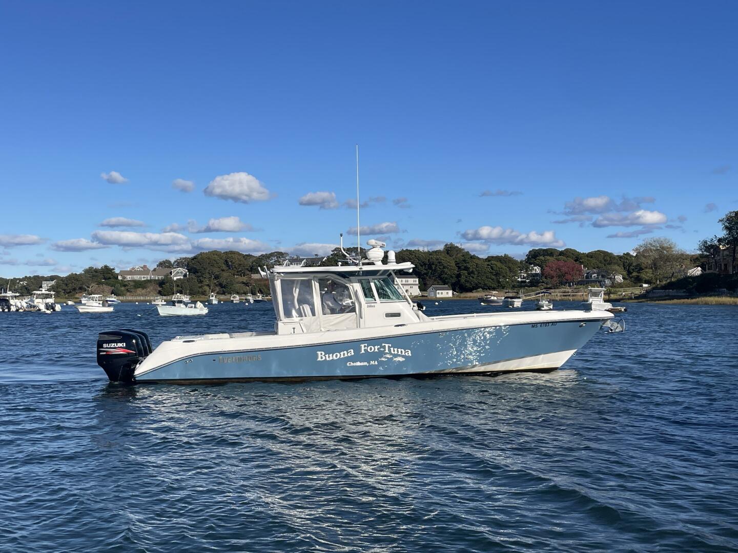 Slide: The Image of Everglades 350CC 2008 - 5081943