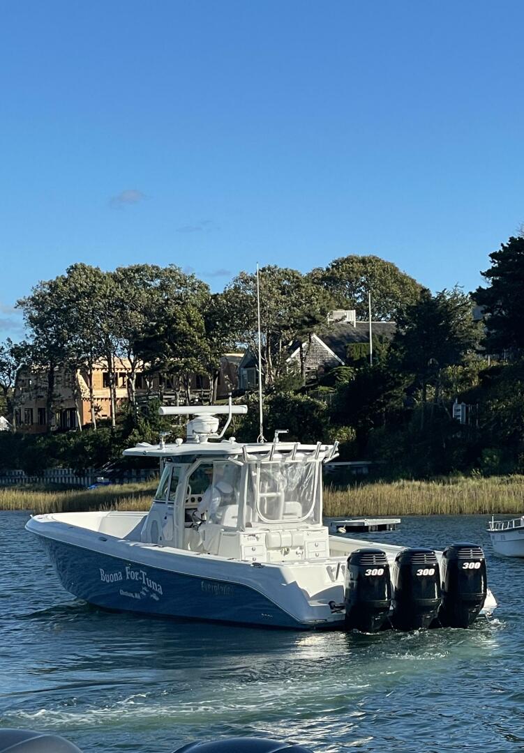 Slide: The Image of Everglades 350CC 2008 - 5081944