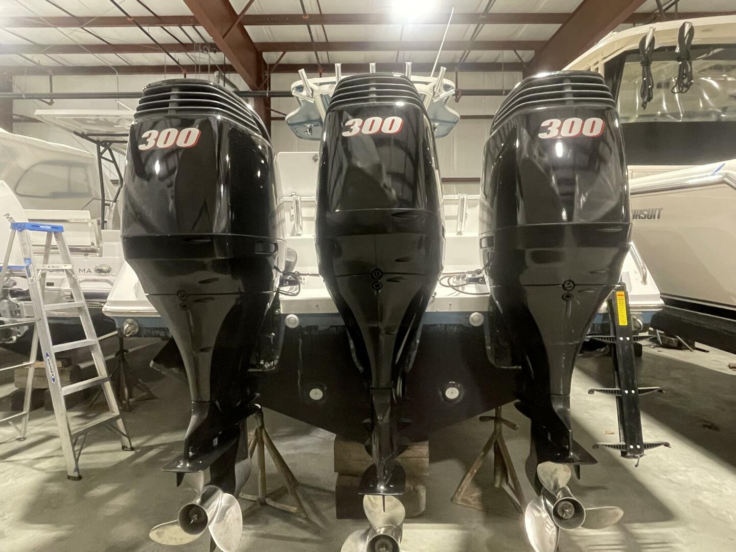 Slide: The Image of Everglades 350CC 2008 - 5081947