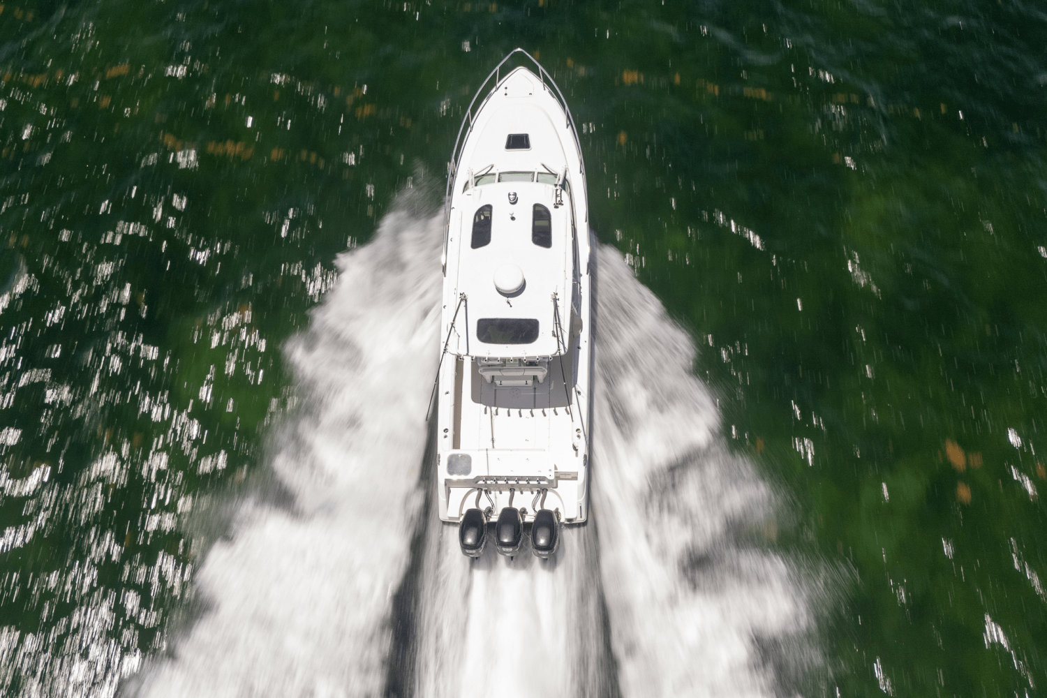 Slide: The Image of Everglades 350 LX 2008 - 8